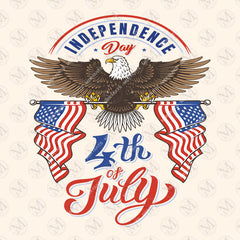 USA fireworks 4th of July Flag America Patriotic T-Shirt