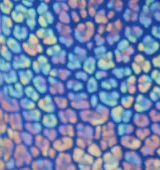 Blue Ridge Artisan Bags Wyoming Leather Elegance