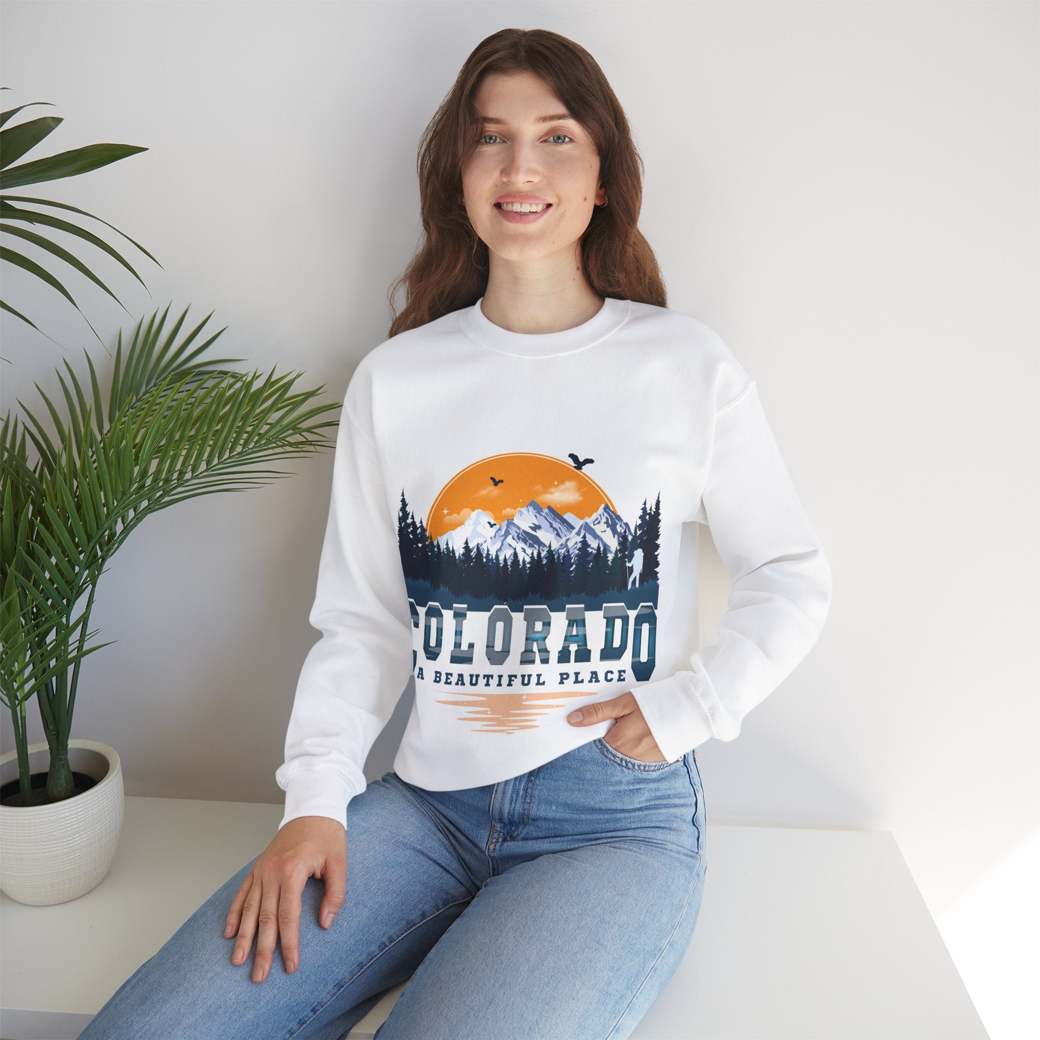 Colorado A Beautiful Place Retro Vintage Mountains Nature Hiking Crewneck Sweatshirt