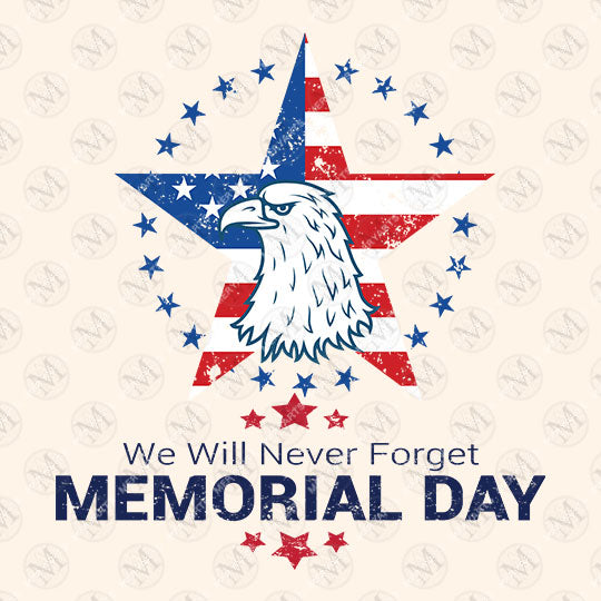Memorial Day Graphic t shirt for Men Women Youth T-Shirt