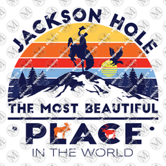 Jackson Hole The Most Beautiful Place In the World Wyoming Heavy Cotton Tee